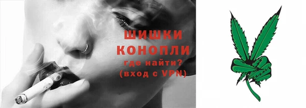 прущая мука Магас