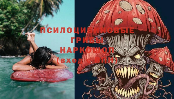 прущая мука Магас