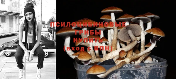 прущая мука Магас