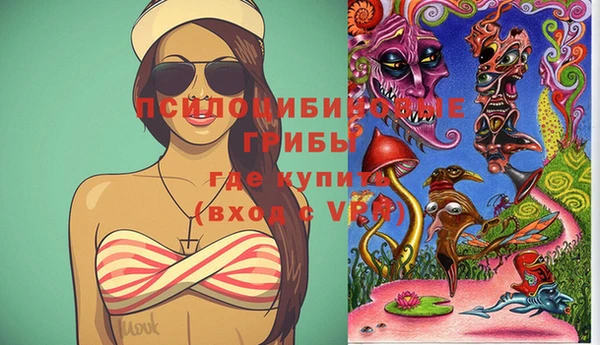 спиды Лиски