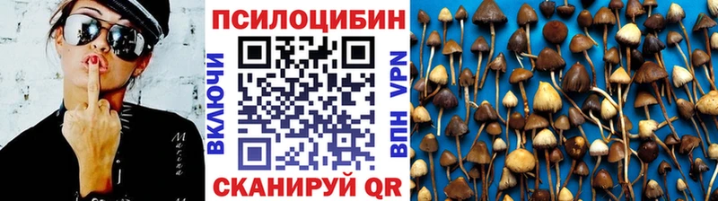 mega tor  даркнет сайт  Устюжна  даркнет клад  Галлюциногенные грибы MAGIC MUSHROOMS 