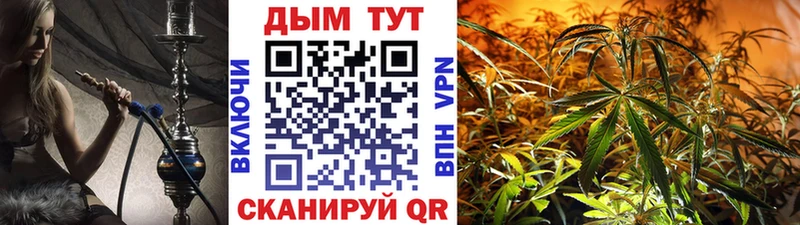 Бошки марихуана THC 21% Устюжна